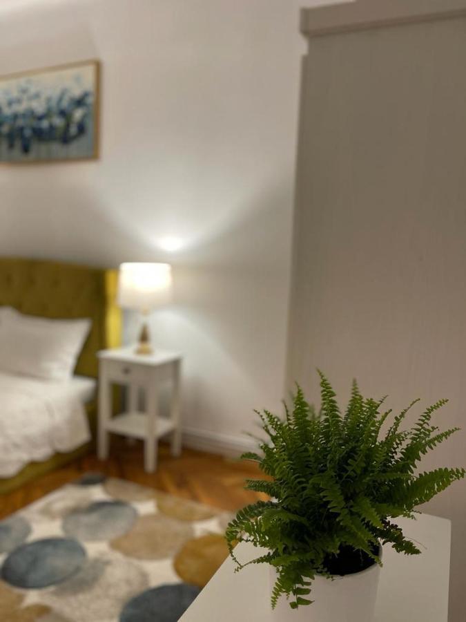 Cityviews Apartment Cluj Екстер'єр фото