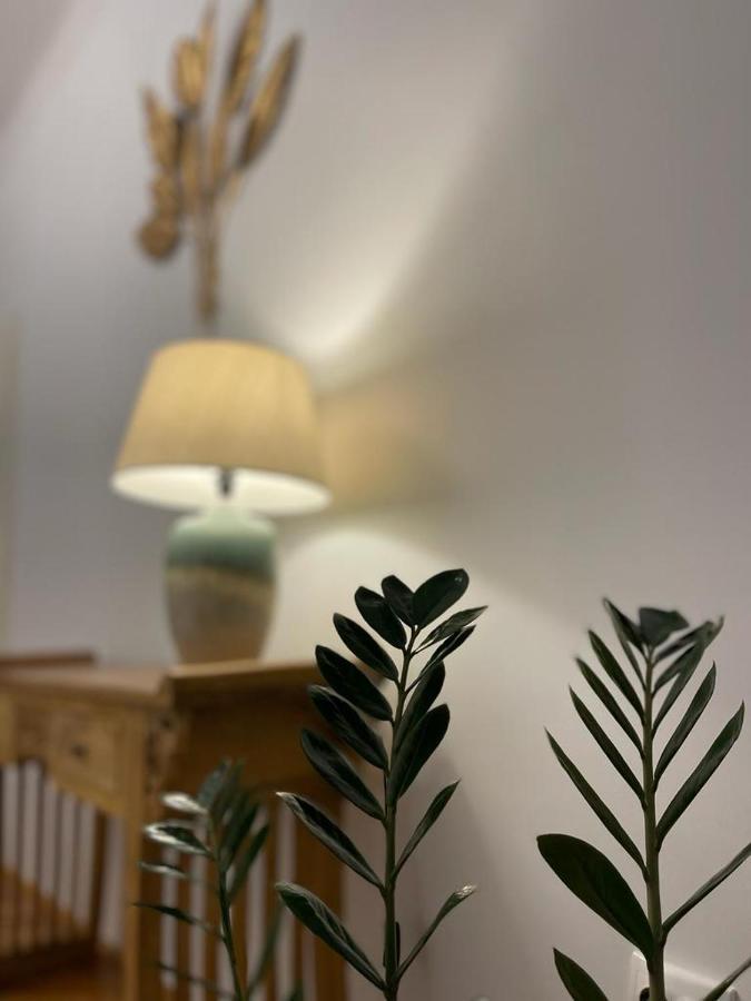 Cityviews Apartment Cluj Екстер'єр фото