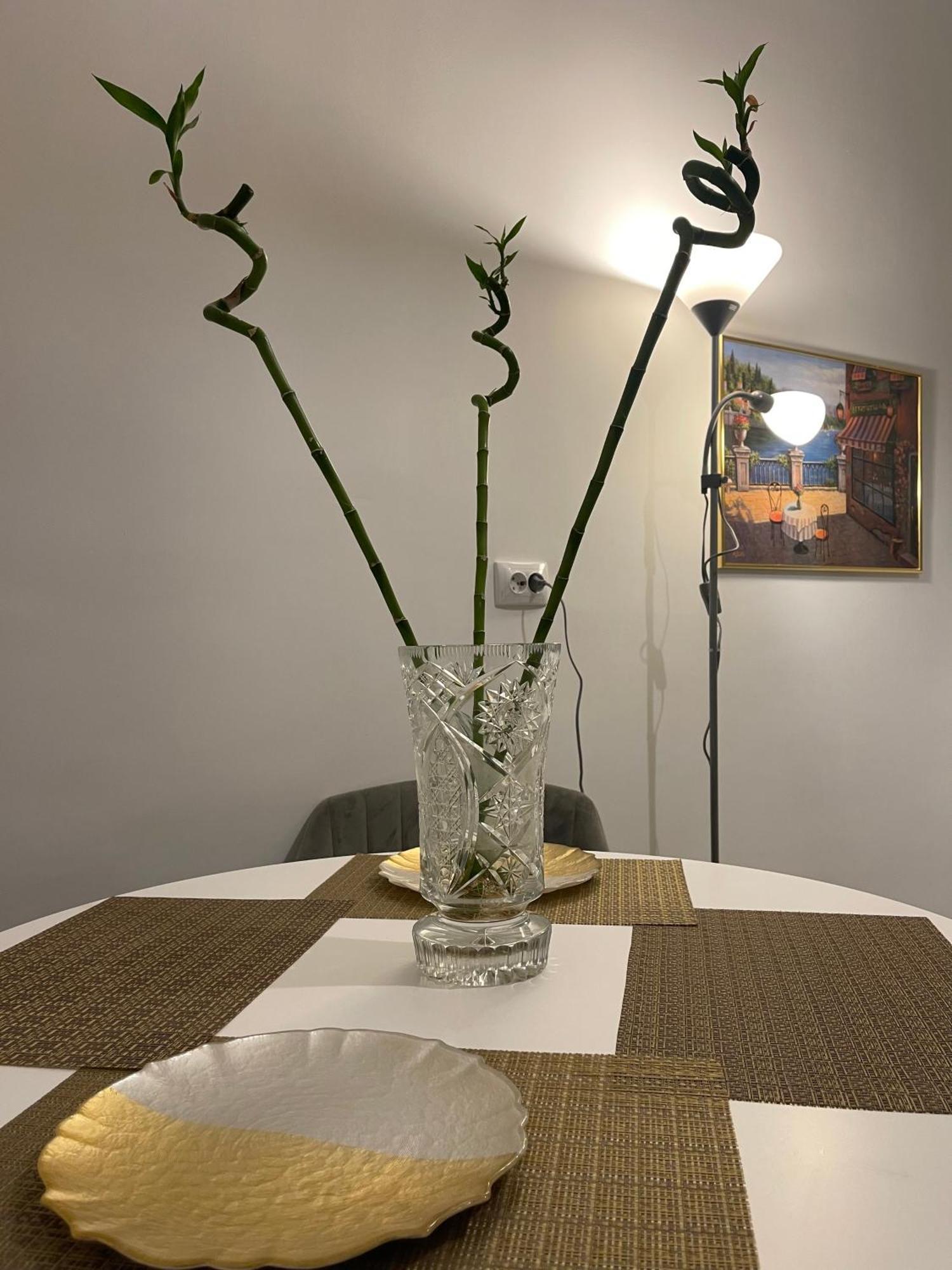 Cityviews Apartment Cluj Екстер'єр фото